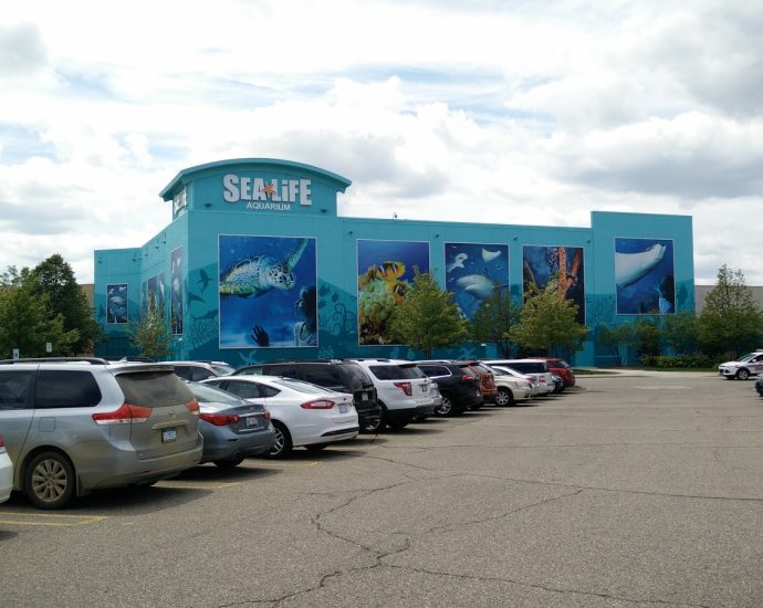 Sea World Aquarium Great Lakes Crossing