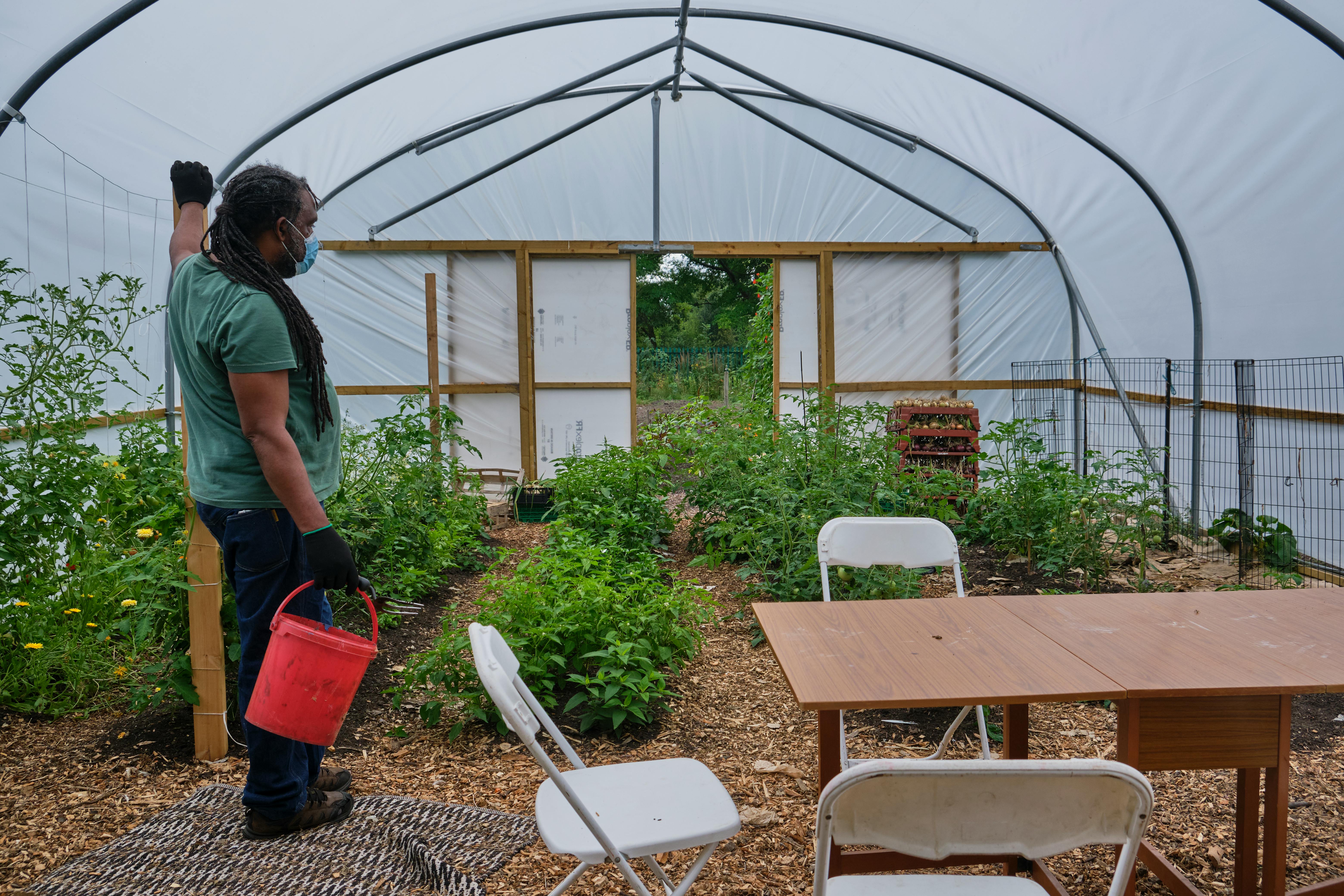 Detroit Urban Farm