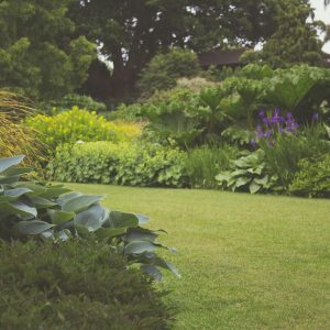Metro Detroit Landscaping Service