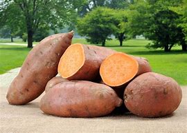 Sweet Potatoe